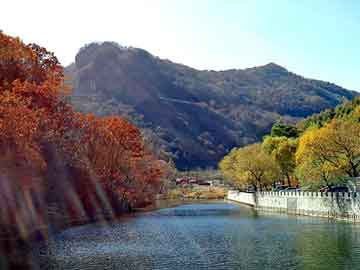 天天彩好彩天天免费，水泥销售商